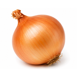 Oignon
