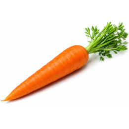 carrot
