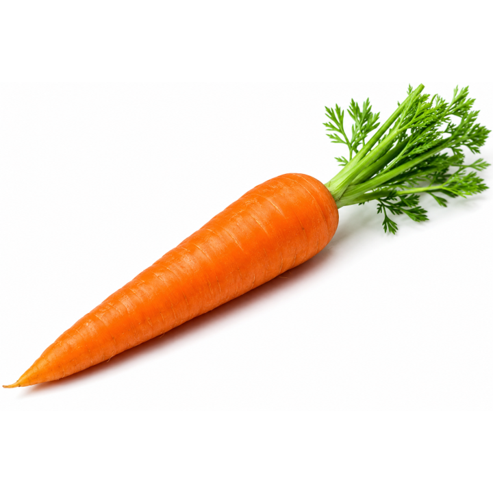 carrot