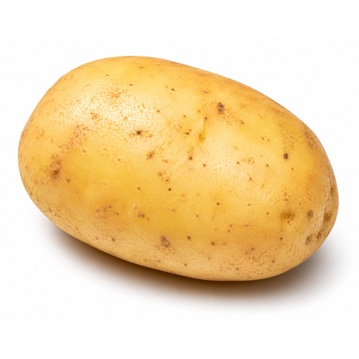 Potato