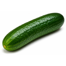 Concombre