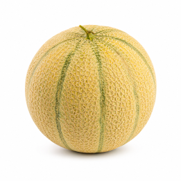 Melon