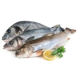 Fresh fish